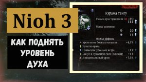 NIOH 3 Как и когда повышают уровень духа хранителя и эссенции душ