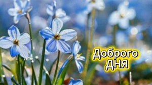 Доброго ДНЯ! Отличного настроения | Музыкальная открытка 🤗🌞