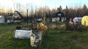 Югорчанам нужно сделать уборку на дачных участках