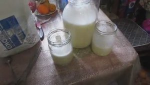 весенние подкормки пчел - белково молочная подкормка для лучшего развития пчел, 7.04.2026