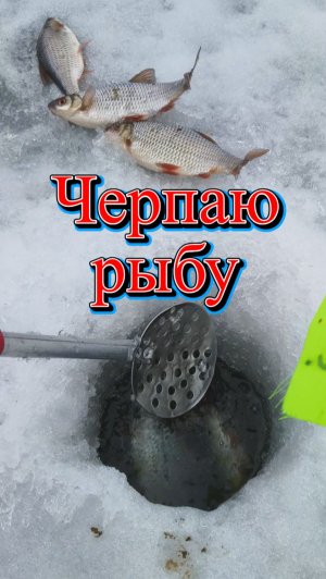 Черпаю рыбу шабалкой. Лайфхак