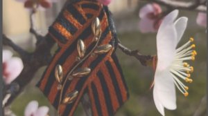 МК Брошка Георгиевская лента Часть 4