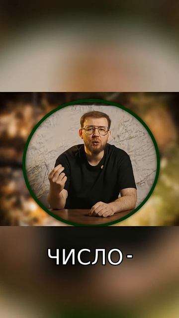 Зубы животных: От муравьеда до дельфина – эволюция и диета!