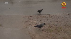 В Чувашии ожидается похолодание