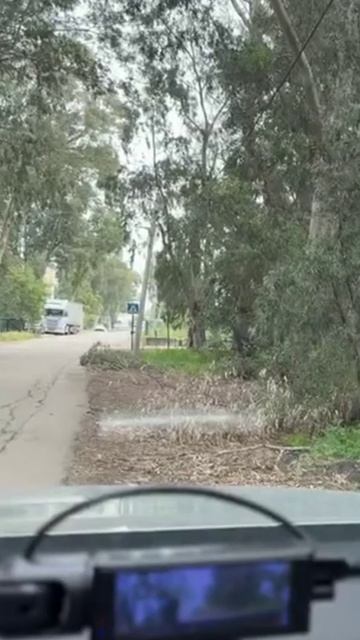 Время перехода Яна Титова NSM