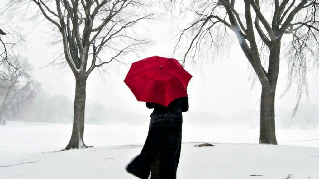 Закружила вьюга