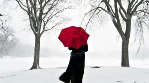 Закружила вьюга