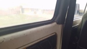 Просто дочь сняла нашу поездку ей за курткой.