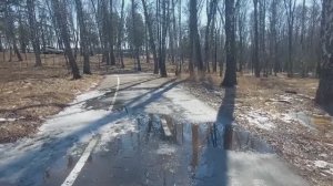 И потекли ручьи .Эко -парк Гремячая грива.Красноярск