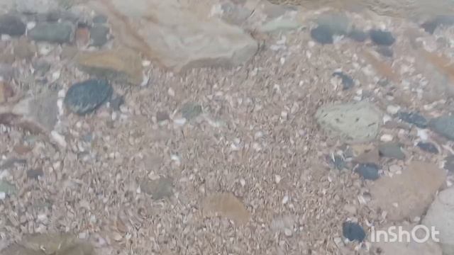 06.04.26г. Ейск + 21 ☀️ Прогулка у моря🌊