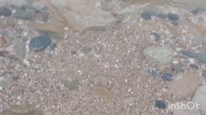 06.04.26г. Ейск + 21 ☀️ Прогулка у моря🌊