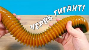 Вырастил огромного желейного Червя! Он как живой! И бросил его в Блендер!