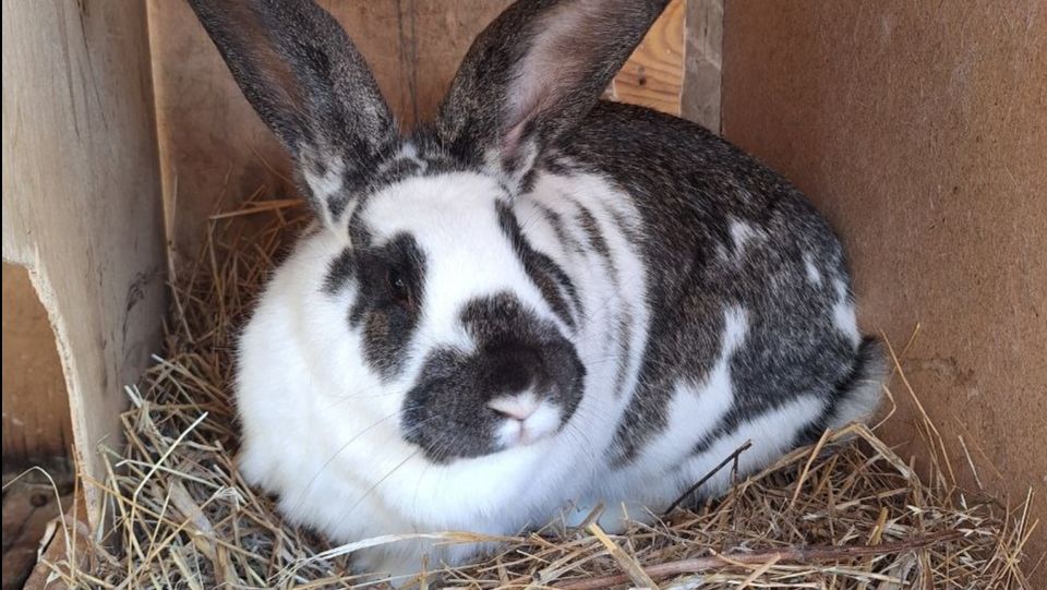 Когда не сидится дома