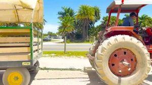 Детские истории с Крисом и мамой про ферму