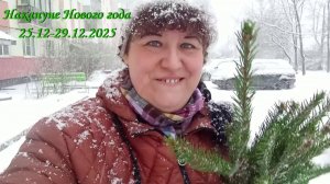 Накануне Нового года 25.12-29.12.2025 (съёмка, монтаж, музыка Марины Романовой)