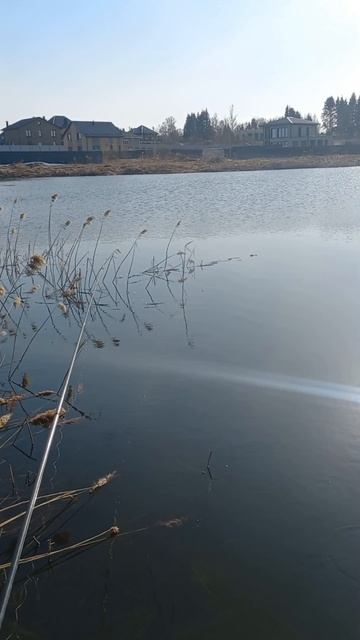 Первый карасик 1 апреля 2026