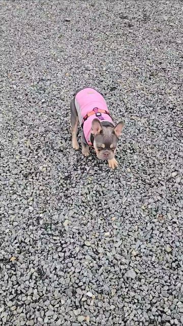 Доброе утро 🌄