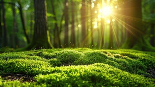 Коран на русском языке сура 007. Преграды ( Аль-Араф )