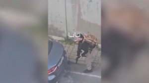 Стрельба у генконсульства Израиля в Стамбуле попала на видео.