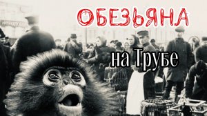 Обезьяну ВЫПУСТИЛИ на Трубной площади