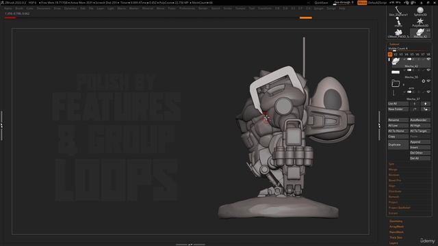 18. Polish and Group Loops