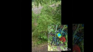 Воронеж ♥️