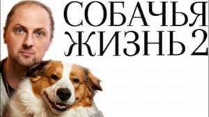 ЗУБАРЕВ СМОТРИТ СОБАЧЬЯ ЖИЗНЬ 2