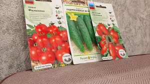 Теплица есть, рассады нет Страничка надежды