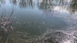 Летняя рыбалка. Сезон 2026 открыт.