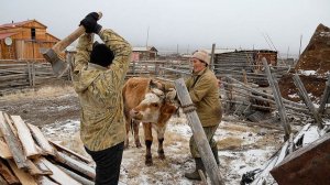 Село козИха видео на стих