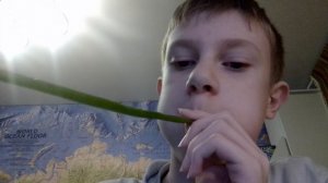 Я надул зелёный лук