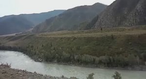 Река Катунь