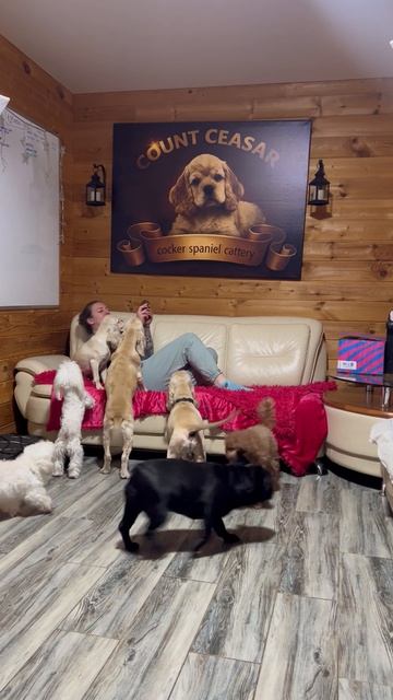 Хочешь мороженое?