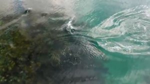 Я дала жизнь но УМЕРЛА НА 7 МИНУТ Мне показали почему боль это главный ДАР ОКОЛОСМЕРТНЫЙ ОПЫТ