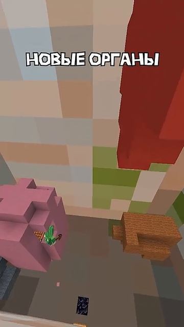 органы клекса  врискас