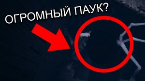 ОГРОМНЫЙ ПАУК ( REANIMAL ) #3