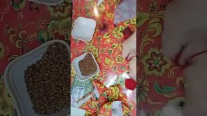 Мастер класс Зерновушка