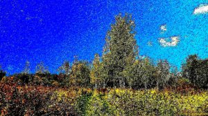 Прогулка под хруст травы ( сентябрь 2025 года )