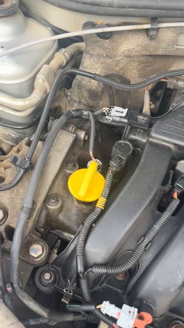 Renault Duster 12-13 2.0 4WD (двигатель)