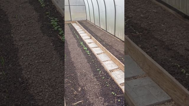 Возвращаюсь в строй☀️В Новом дождливо, прохладно🌧️Ждем потепления и высыхания земли для работ🚜