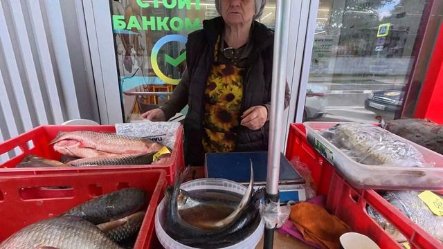 Лазаревское свежая рыба. Камбала черноморская