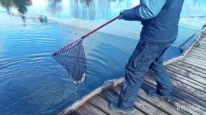 Поимки Форели