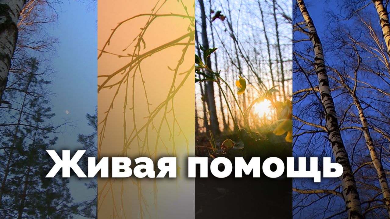 Живая помощь | С любовью к русской природе