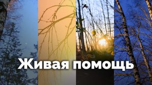 Живая помощь | С любовью к русской природе