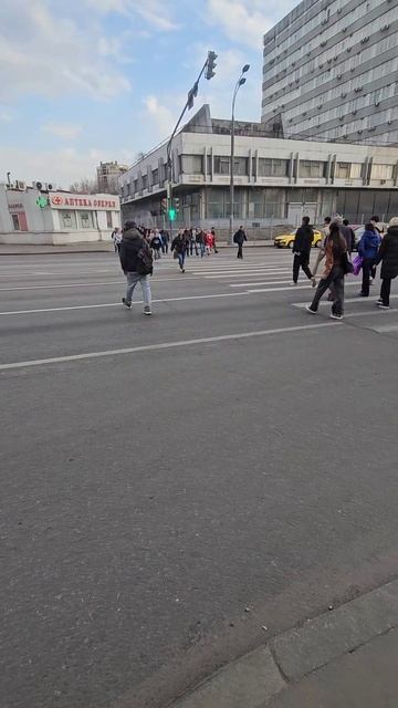 Как в Москве переходят дорогу?