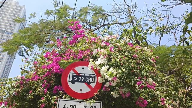 Где отдыхают сочинцы?Нячанг Вьетнам 7 апреля: центральный пляж меняем деньги идём на рынок 