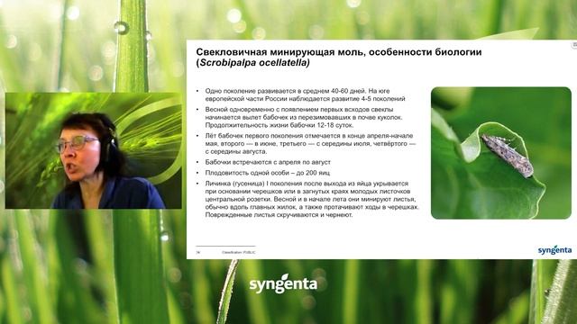 Встреча с энтомологом по вредителям зерновых культур свеклы и рапса