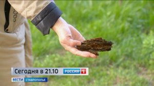 В Ставрополе жильцы многоэтажки не могут поменять управляющую компанию