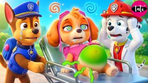 Щенячий патруль и Маршалл. Залипательное видео. Мультфильм для детей и малышей. Анимация 373