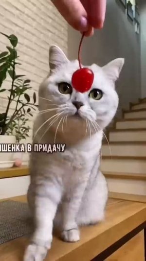 😂😂😂